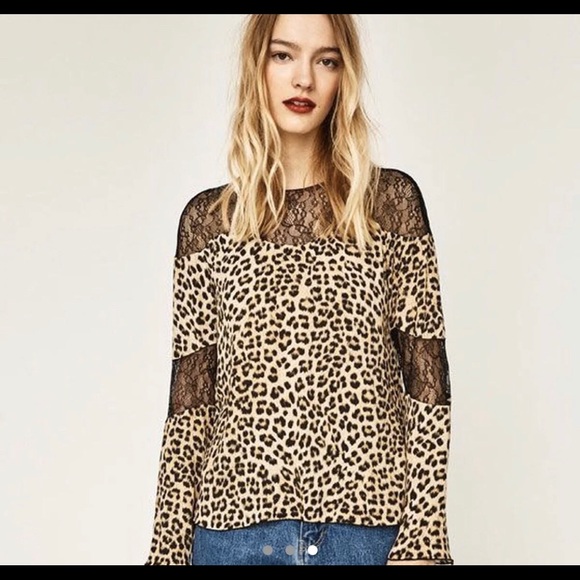 Zara Animal Print Lace Blouse - Picture 3 of 3